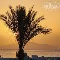 фото из отзыва ID 2696095