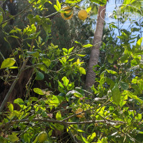 фото из отзыва ID 2696119