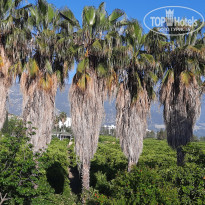 фото из отзыва ID 2696145