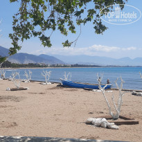 фото из отзыва ID 2696145