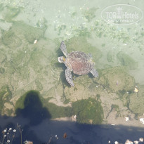 фото из отзыва ID 2696145