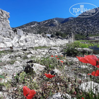 фото из отзыва ID 2696145