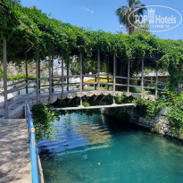 фото из отзыва ID 2696145