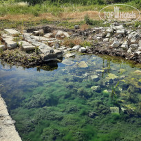 фото из отзыва ID 2696145