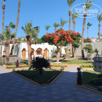 фото из отзыва ID 2696158