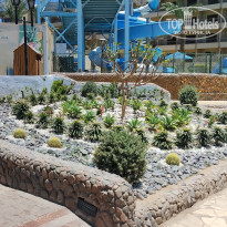 фото из отзыва ID 2696158