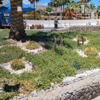 фото из отзыва ID 2696158