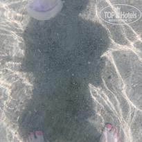 фото из отзыва ID 2696187