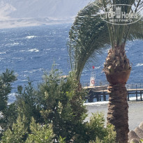 фото из отзыва ID 2696187