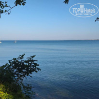 фото из отзыва ID 2696206