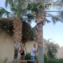 фото из отзыва ID 2695729