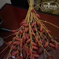 фото из отзыва ID 2695729