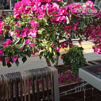 фото из отзыва ID 2696243