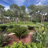 фото из отзыва ID 2696260