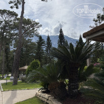 фото из отзыва ID 2696260