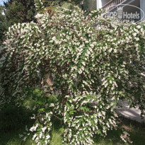 фото из отзыва ID 2696318