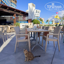 фото из отзыва ID 2696412