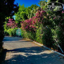 фото из отзыва ID 2696471