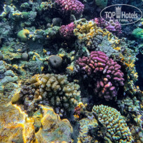 фото из отзыва ID 2696475