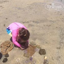 фото из отзыва ID 2696488