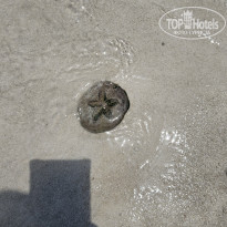 фото из отзыва ID 2696537