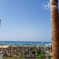 фото из отзыва ID 2696546