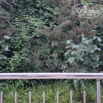 фото из отзыва ID 2696546