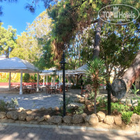 фото из отзыва ID 2696538