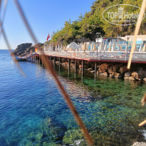 фото из отзыва ID 2696538