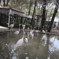 фото из отзыва ID 2696569