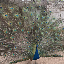 фото из отзыва ID 2696569