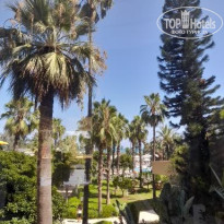 фото из отзыва ID 2696570