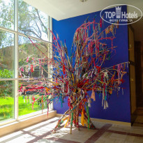 фото из отзыва ID 2696570