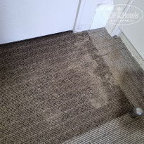 фото из отзыва ID 2696614