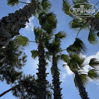 фото из отзыва ID 2696622