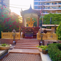 фото из отзыва ID 2696599