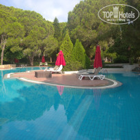 фото из отзыва ID 2696570