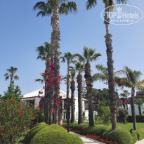 фото из отзыва ID 2696636