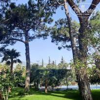 фото из отзыва ID 2696636