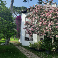 фото из отзыва ID 2696636