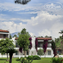 фото из отзыва ID 2696636