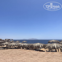 фото из отзыва ID 2696676