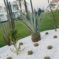 фото из отзыва ID 2696676