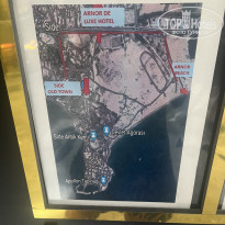 фото из отзыва ID 2696682