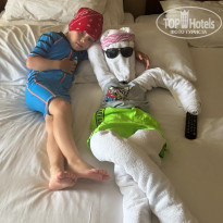 фото из отзыва ID 2696699