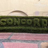 фото из отзыва ID 2696720