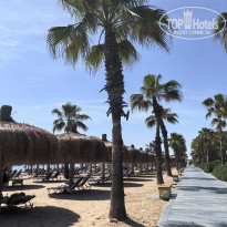 фото из отзыва ID 2696745