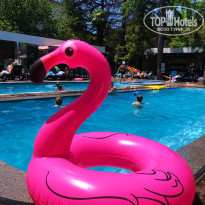 фото из отзыва ID 2696754