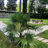 фото из отзыва ID 2696754