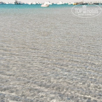 фото из отзыва ID 2696803